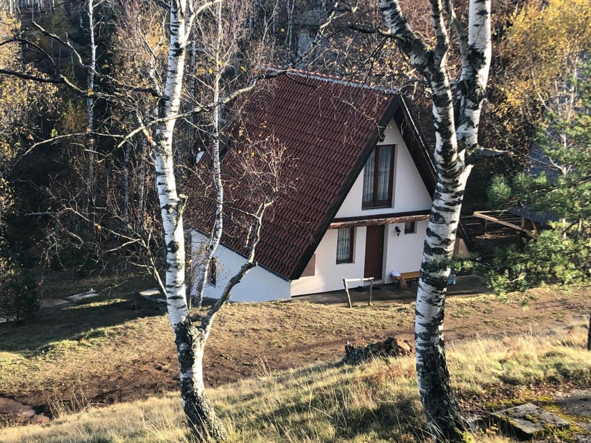 Mionica Vikendica Stojanovicヴィラ エクステリア 写真